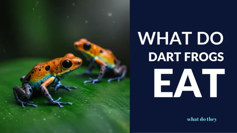 What do Dart Frogs Eat - cover