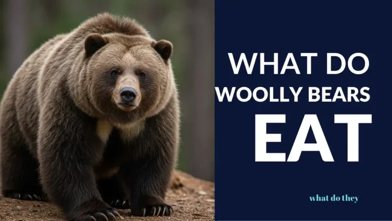 What do Woolly Bears Eat - Cover