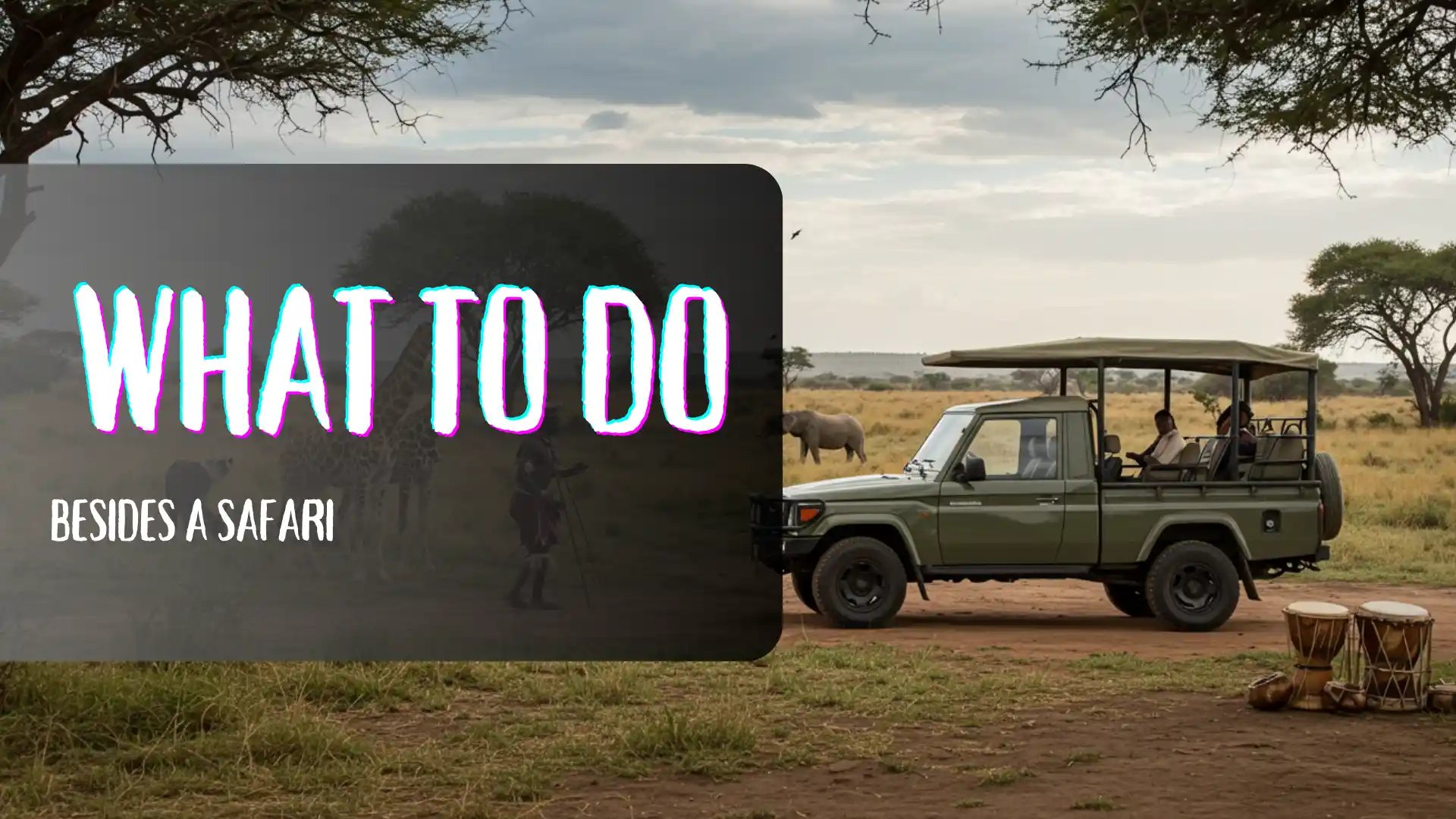 what to do besides a safari - cover